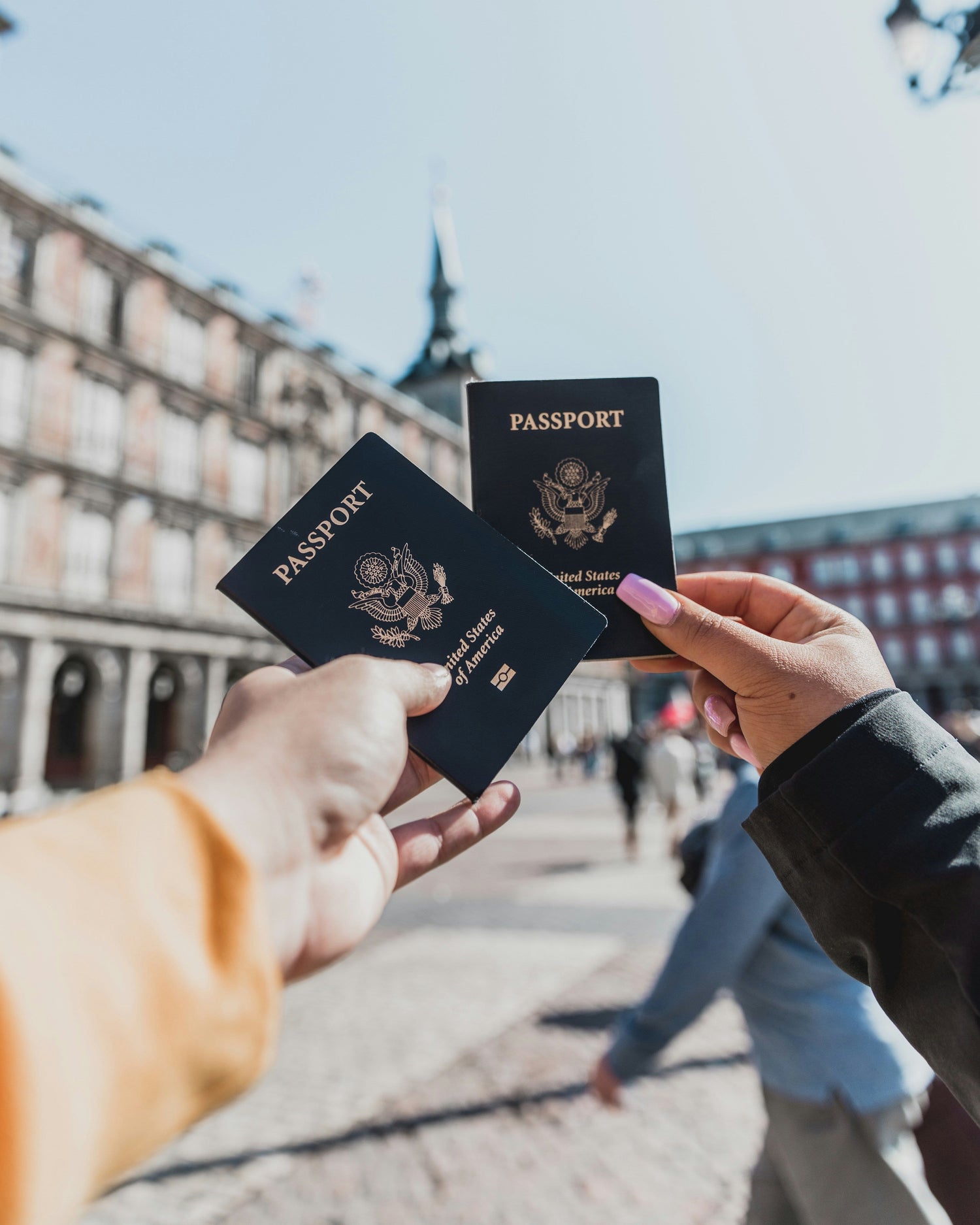 Travel Bug